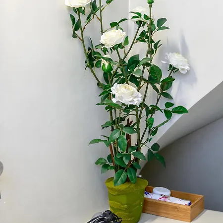 Apartment Deluxe Maisonette With Private Jacuzzi